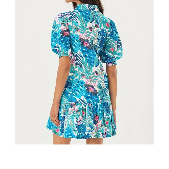 NEW LILLY PULITZER brett dress in best fronds forever - Picture 2 of 5